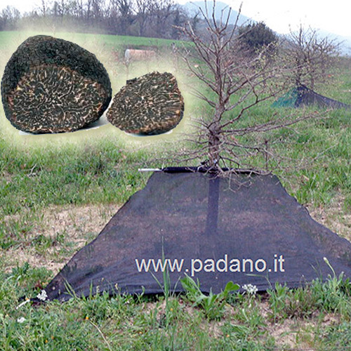 rete-per-tartufaia